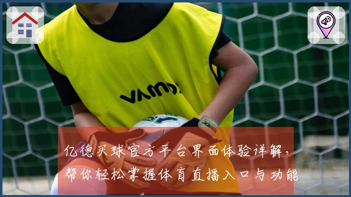 亿德买球官方平台界面体验详解，帮你轻松掌握体育直播入口与功能使用技巧