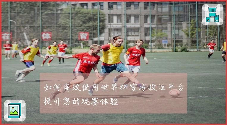 如何高效使用世界杯官方投注平台提升您的观赛体验