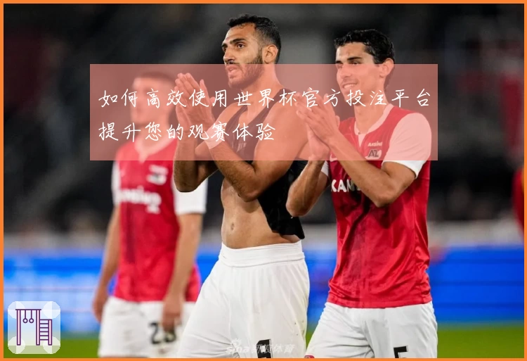 如何高效使用世界杯官方投注平台提升您的观赛体验