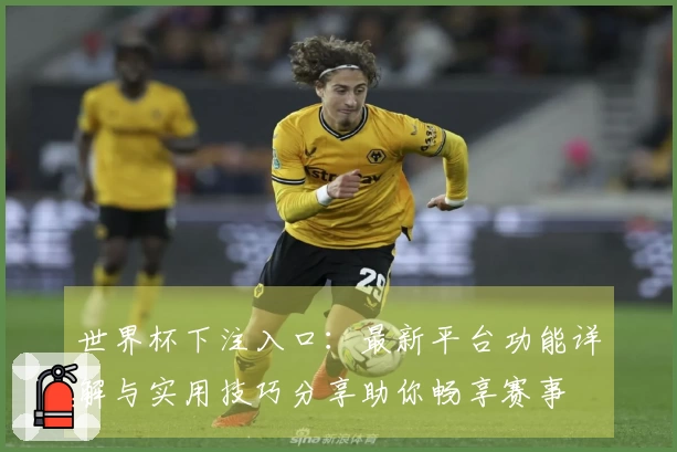 世界杯下注入口：最新平台功能详解与实用技巧分享助你畅享赛事
